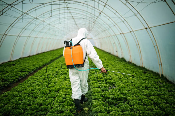 Reliable Oronoque, CT Pest Control Solutions