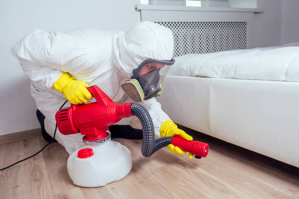 Best Exterminator Services  in Oronoque, CT